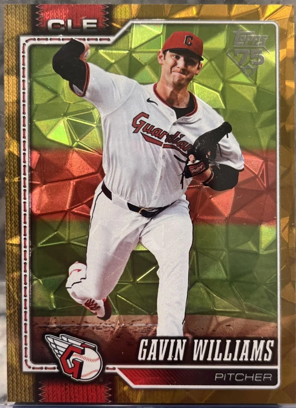 Gavin Williams #254