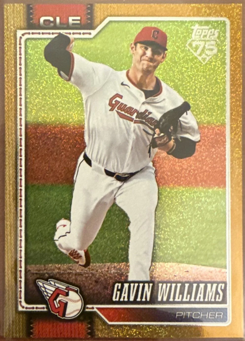 Gavin Williams #254