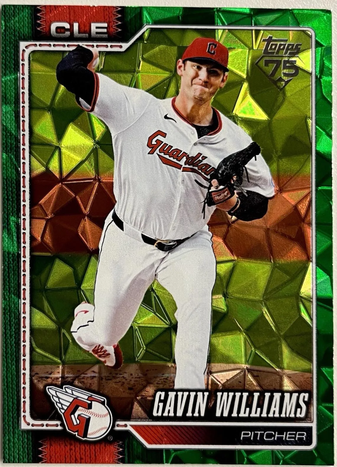 Gavin Williams #254