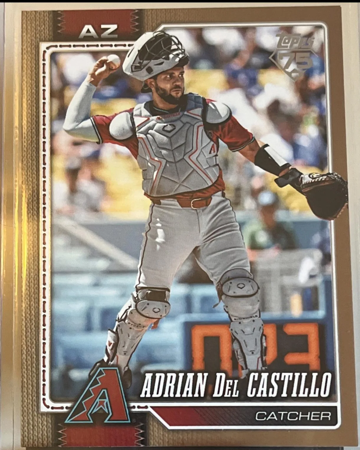 Adrian Del Castillo #460