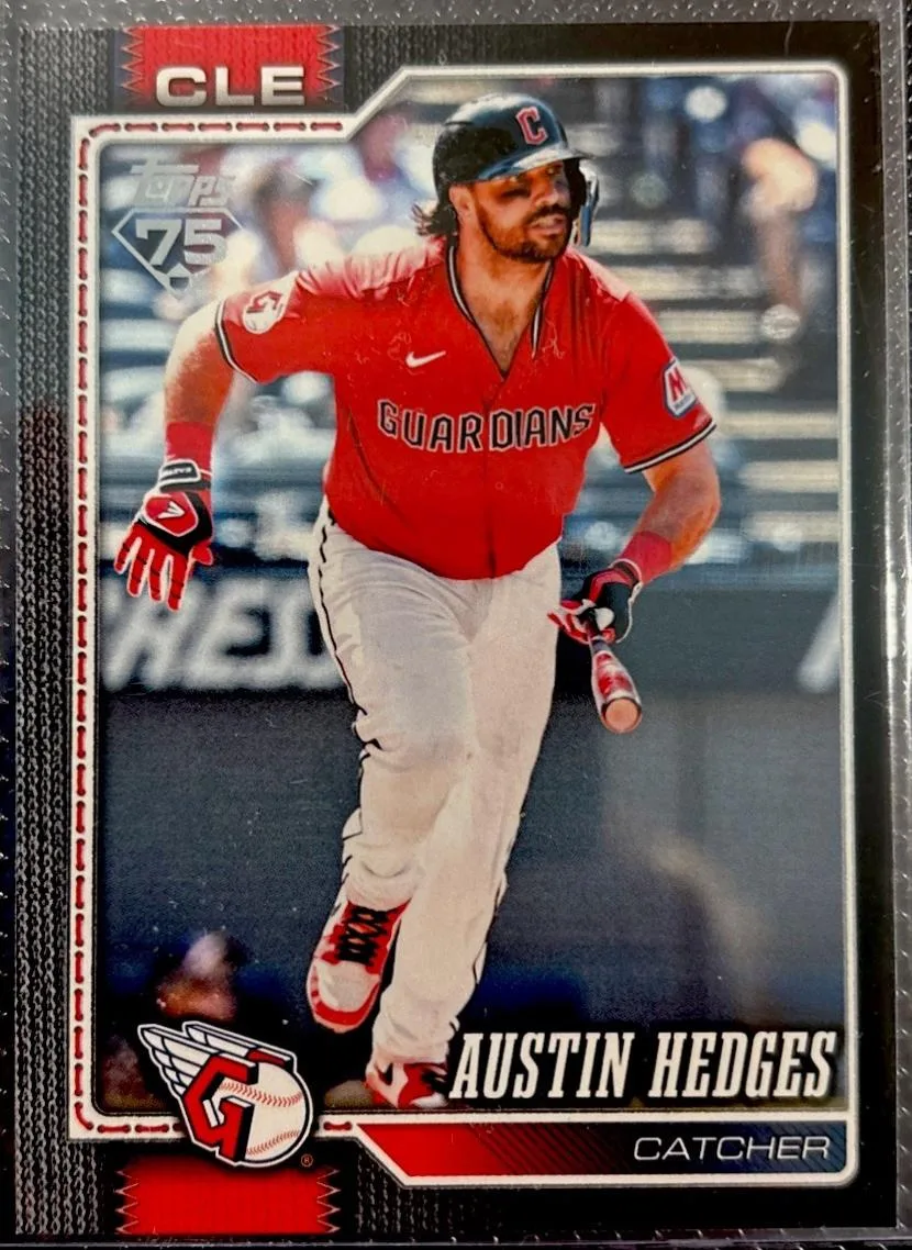 Austin Hedges #545