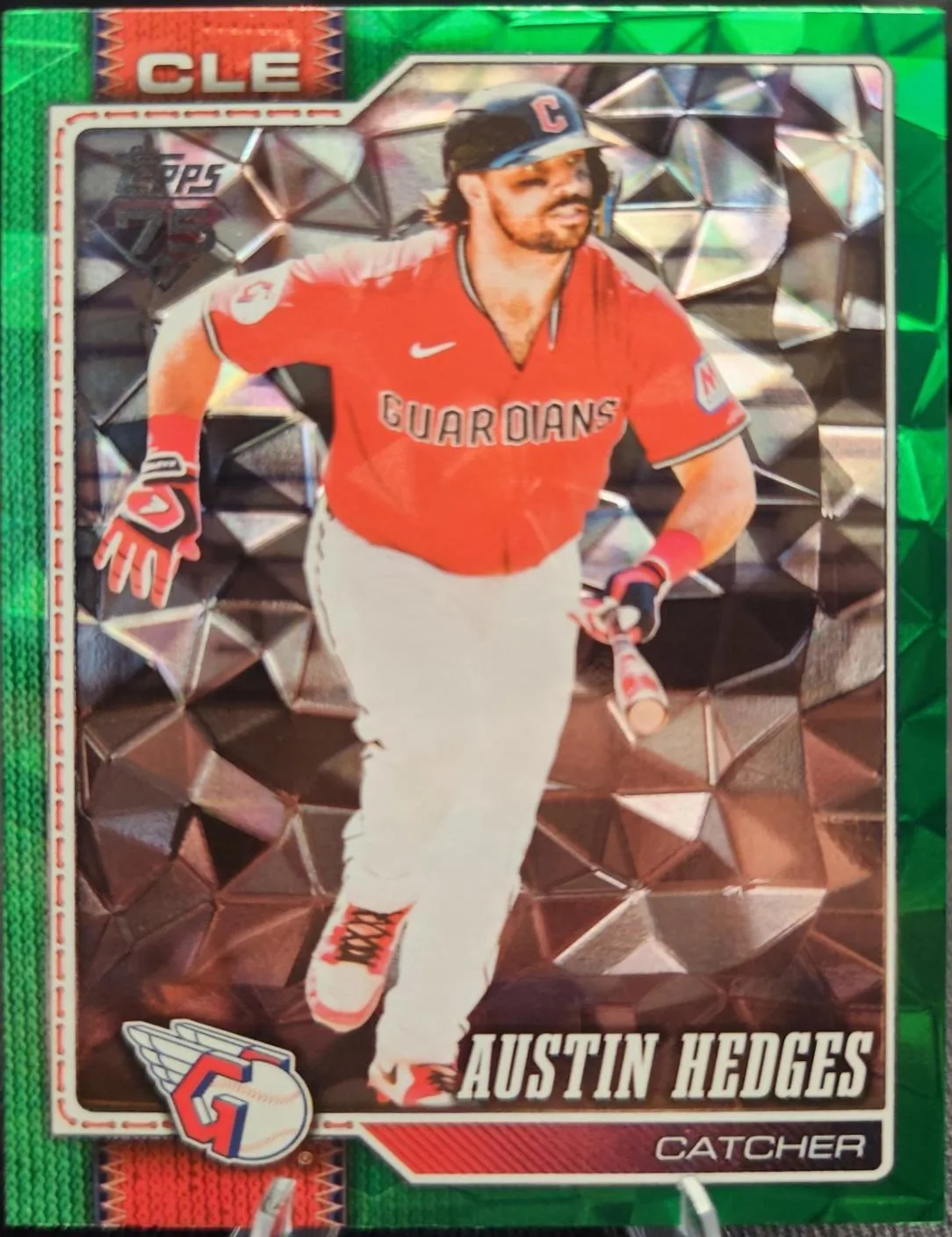 Austin Hedges #545