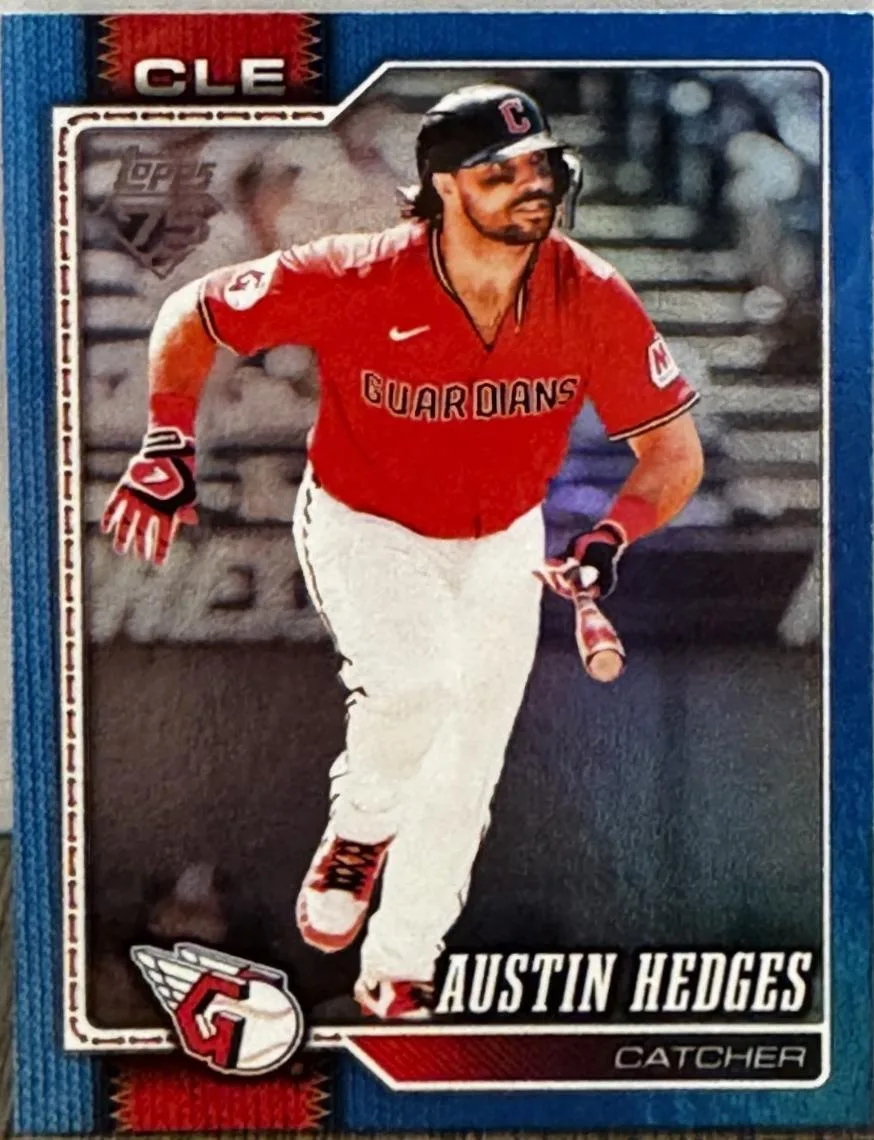 Austin Hedges #545
