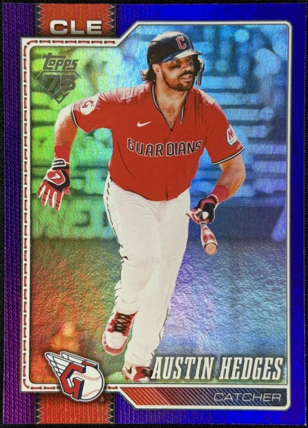 Austin Hedges #545