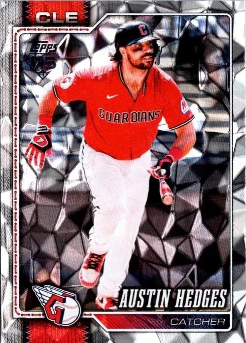 Austin Hedges #545