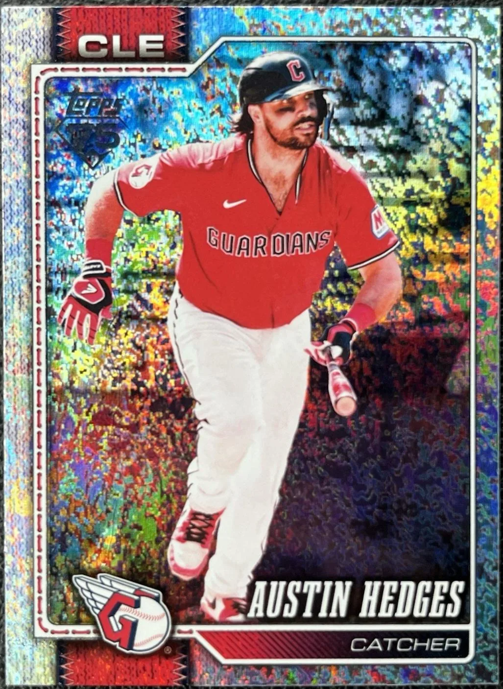 Austin Hedges #545
