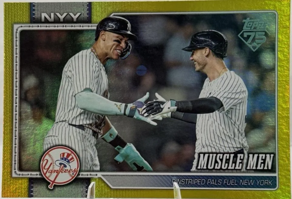 Aaron Judge #479