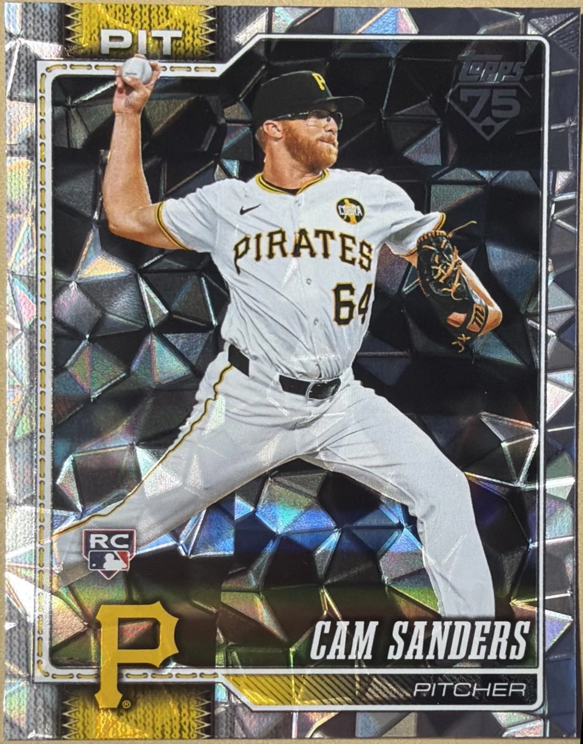 Cam Sanders #679