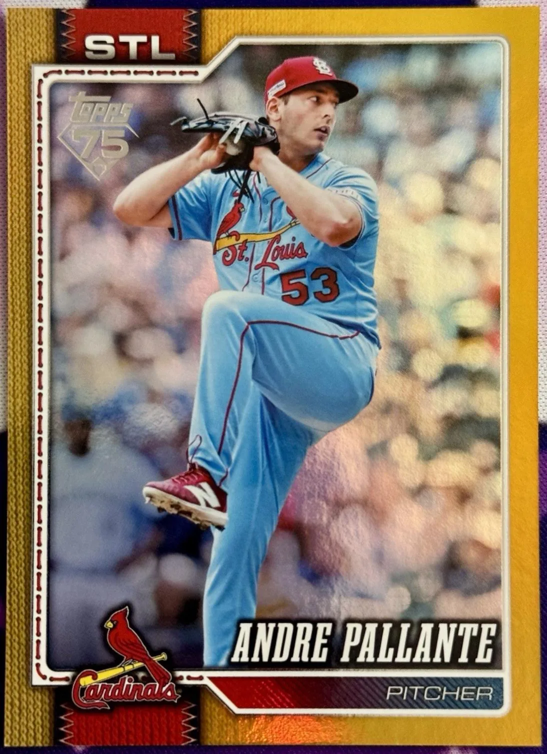 Andre Pallante #698