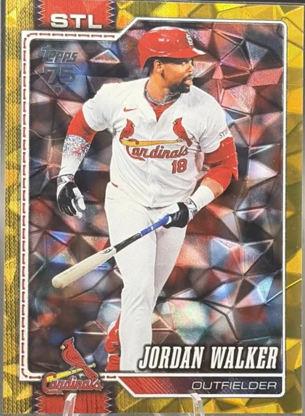 Jordan Walker #565