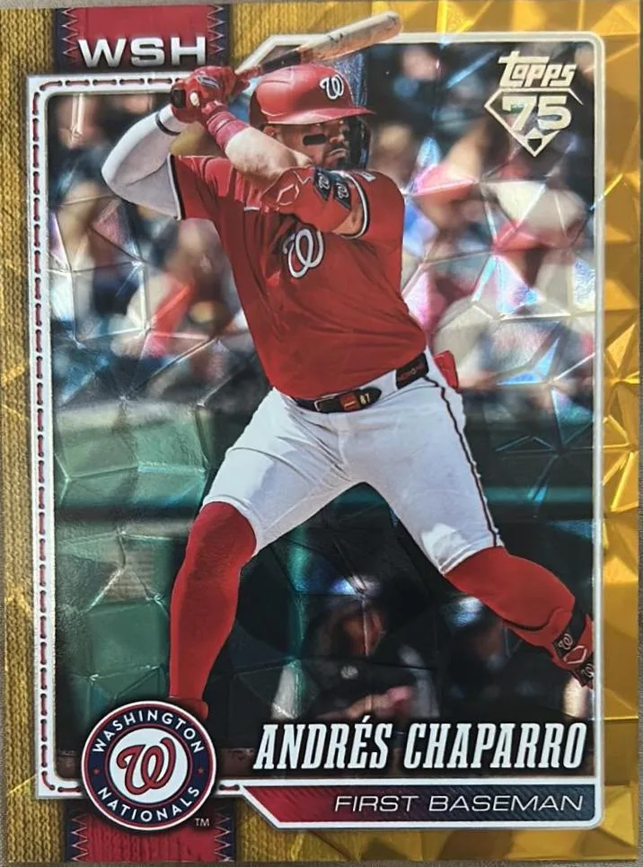 Andres Chaparro #462